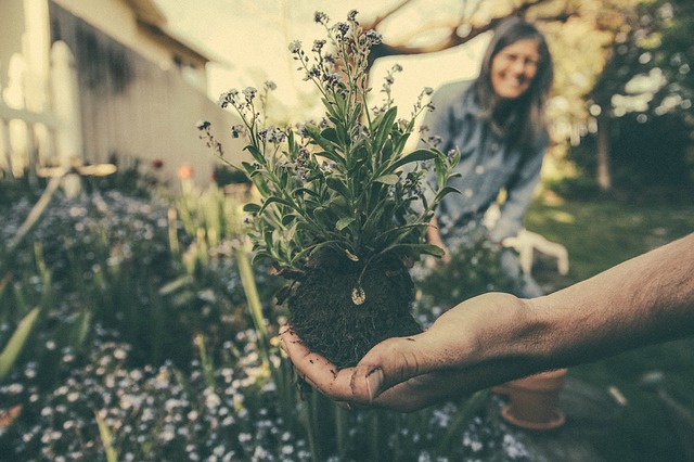 migliori strumenti giardinaggio