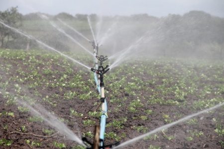 Impianti di irrigazione